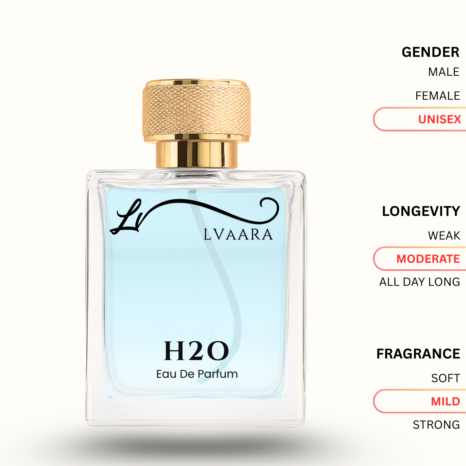 H2O | INSPIRED BY CO*L WATER BY D@VID O*F | EDP | UNISEX